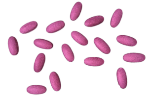 comprimidos soltos de amora miura de cora rosa para o roxo. Concentração de bioativos