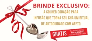 Colher de infusão em formato de coração com laço vermelho amarrado no cabo, destacando o brinde especial do Kit Digestivo Espinheira Santa.