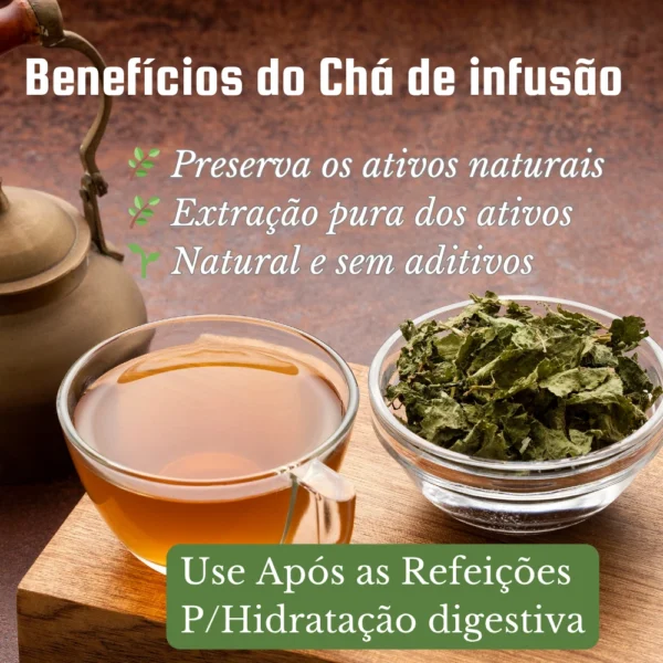 Xícara com chá de Espinheira Santa ao lado de vasilha com folhas e texto explicativo sobre os benefícios do chá de infusão.