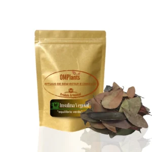 Saco pouch zipado com Cha de Insulina Vegetal com folhas naturais desidratadas ao lado produto da loja Objetivo Magra.